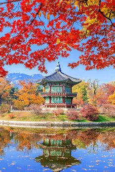 Gyeongbukgung and Maple tree in autumn in korea.