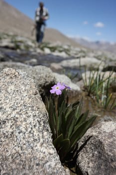 Pamir region Russian Federation Central Asia mountain landscapes