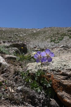 Pamir region Russian Federation Central Asia mountain landscapes