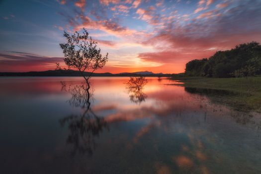 Reflections at the lake