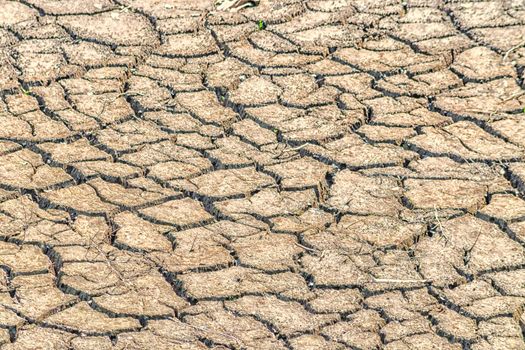 Cracked earth, soil large drought. Soil structure and dry mud, dried riverbed.