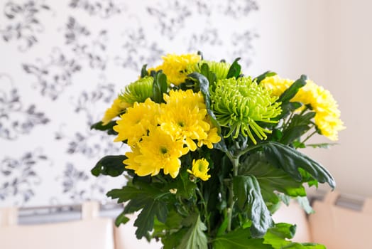 Bouquet of yellow and a green Chrysanthemum