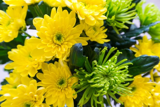 Bouquet of yellow and a green Chrysanthemum