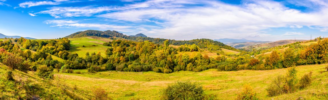 early autumn mountain landscape. panoramic view of green meadow near the forest on the hillside in Carpathians.