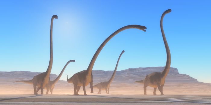 An Omeisaurus herd walks across a dry desert in their search for vegetation and water in the Jurassic Period.