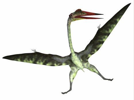 Quetzalcoatlus was a carnivorous pterosaur reptile that lived in the Cretaceous Period of North America.