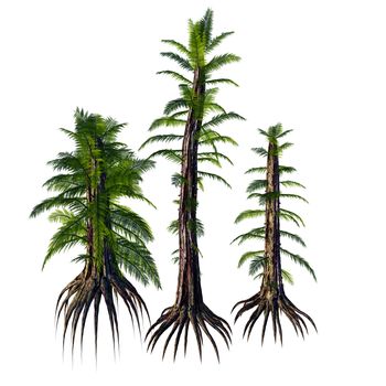 Tempskya is an extinct genus of tree-like fern that lived during the Cretaceous Period.