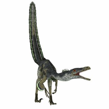 Velociraptor was a carnivorous theropod dinosaur that lived in Mongolia, China in the Cretaceous Period. 