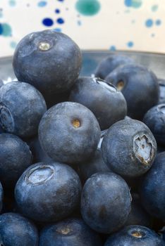 Closeup of blueberry, ingredient for the preparation of pastries and juices
