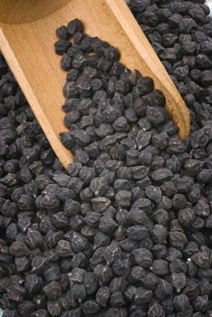 Black chickpea Murgia (cece nero), also known by the name of "cece del solco dritto" from the Puglia (Italy).