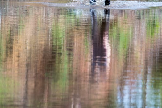 Reflection of an unknown lady as she wade through the water