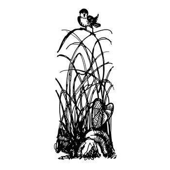 freehand sketch illustration of bird on clump of grass doodle hand drawn