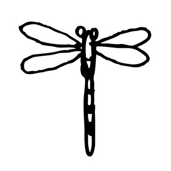 freehand sketch illustration of dragonfly doodle hand drawn