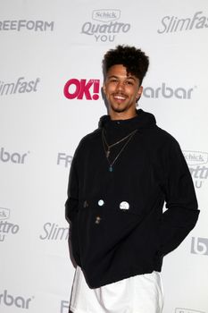 Dominique Columbus
at the OK! Magazine Summer Kick-Off Party, W Hollywood Hotel, Hollywood, CA 05-17-17