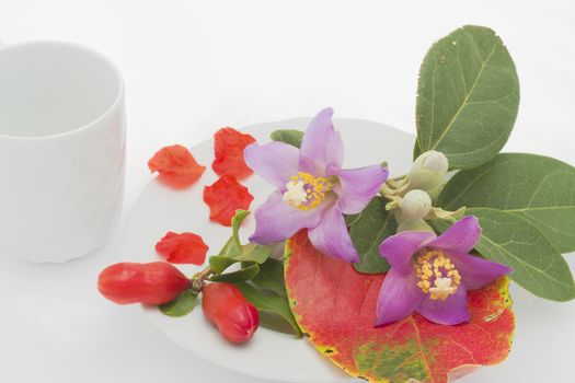 White plate and glass with colorful flowers and petals.