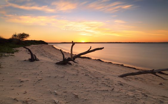 Beach views with driftwood, a long exposure capturing the last glimpse of the sun as it day draws to a close