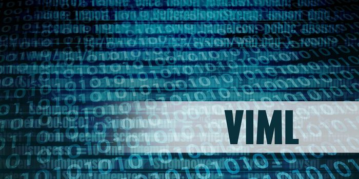 Viml Development Language as a Coding Concept