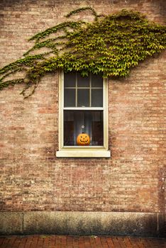 Pumpkins near house window during Halloween season