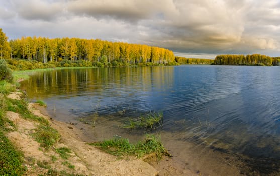 Golden autumn in the month of October in a beautiful forest