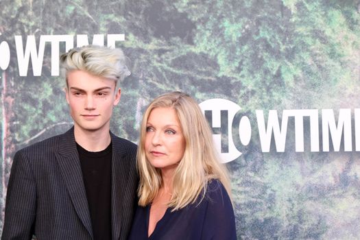 Elijah Diamond, Sheryl Lee
at the "Twin Peaks" Premiere Screening, The Theater at Ace Hotel, Los Angeles, CA 05-19-17