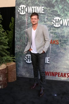 Bailey Chase
at the "Twin Peaks" Premiere Screening, The Theater at Ace Hotel, Los Angeles, CA 05-19-17