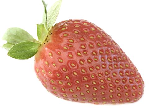 Single luscious ripe red strawberry with stalk in a close up side view showing the achenes on white