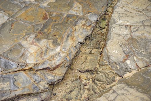 Saltwater rocky texture on flat foreshore rock platform formation