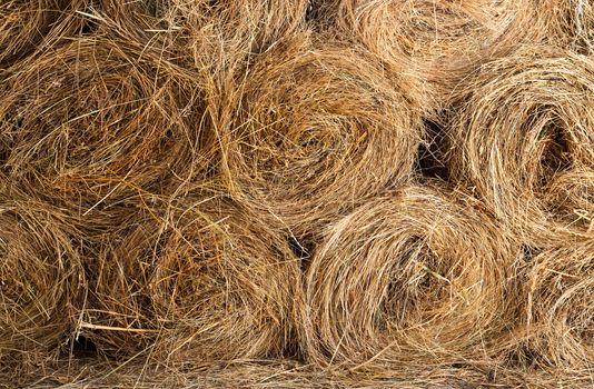 Background of bales of golden hay stacked on each other. Backdrop and texture of dry grass.