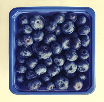 Blue square box of big ripe blueberries.