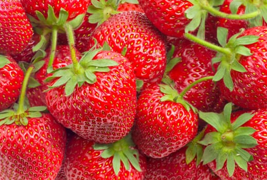 Background of the fresh ripe garden strawberries closeup
