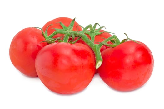 Branch of the ripe red tomatoes with droplets of dew closeup on a light background
