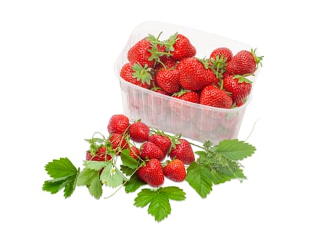 Ripe fresh strawberries in the transparent plastic container and several berries among leaves and stems beside on a light background
