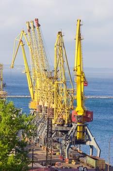 Group of the different harbor cranes on the quay of the sea cargo port against the background of the sea bay
