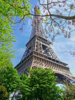 Bottom view of the Eiffel Tower through the branches of flowering trees in Paris
