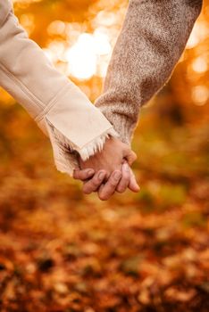 Close-up of a couple holding hands walking through sunny forest in autumn colors.