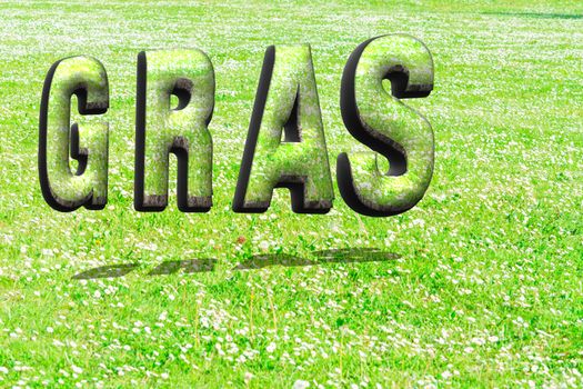 The word grass in green grass structure in 3D with shadows on a summer meadow as background.