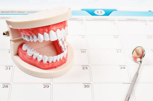 Calendar page and Dentist mirror tool and dentist demonstration teeth model.