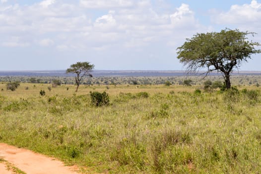 View of the Tsavo East savannah in Kenya with the mountains in the background