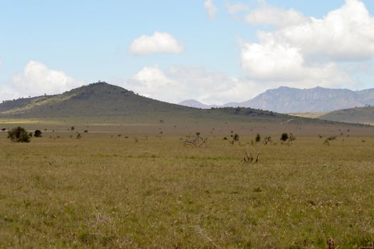 View of the Tsavo East savannah in Kenya with the mountains in the background