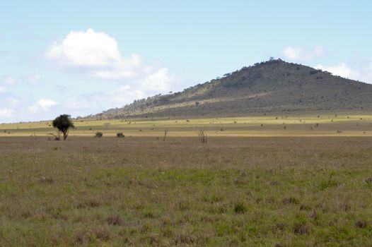 View of the Tsavo East savannah in Kenya with the mountains in the background