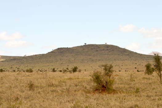 View of the Tsavo East savannah in Kenya with the mountains in the background