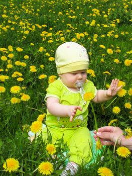 child in a green suit sitting on a meadow of dandelions