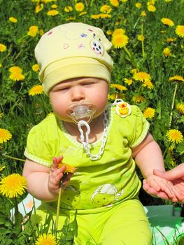 child in a green suit sitting on a meadow of dandelions
