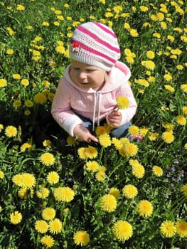 girl in a pink sweater sitting on a meadow of dandelions