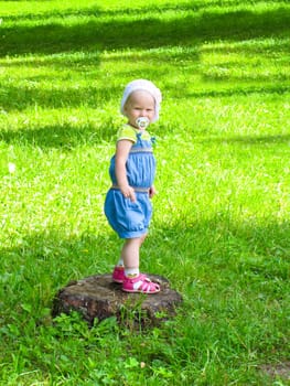 girl in a blue suit stands on a tree stump on the background of green meadows