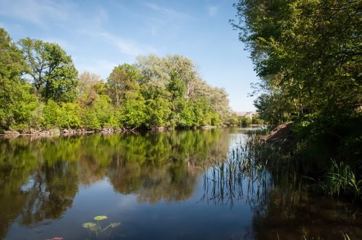 Dawn on the river -   landscape in spring sunny day.