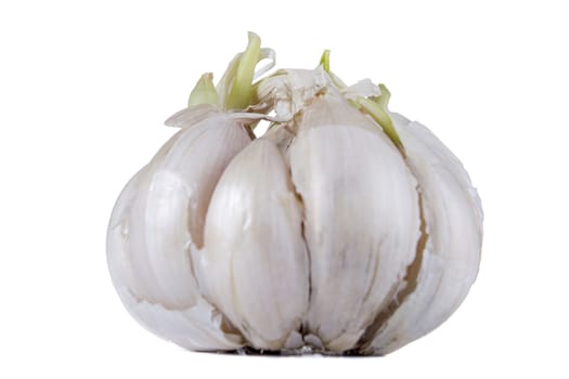 Ripe fresh garlic on white isolated background