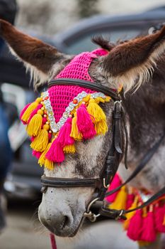 Decorated donkey in Moscows amusement park photo