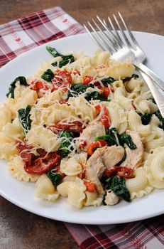 Warm salad pasta with chicken, sun dried tomatoes, spinach, pepper and  flavored   parmesan cheese