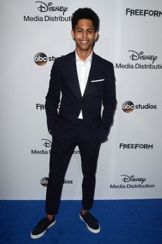 Rhenzy Feliz
at the 2017 ABC International Upfronts, Disney Studios, Burbank, CA 05-21-17